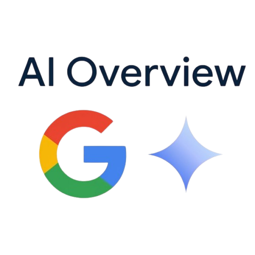 AI Overview